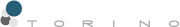 Logo Polistiletorino